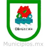 Cohuecan